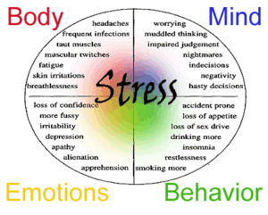 How Stress and Anxiety affect the Body, Mind, Emotions and Behavior